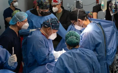 Sinaloa impulsa la vida: suman 954 trasplantes de órganos y tejidos