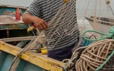 Apoyos del gobierno estatal en equipo pesquero y rehabilitación son un avance en las necesidades del sector: Manuel Sánchez Gámez