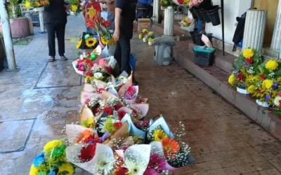 Mantienen floristas expectativas regulares contando con el apoyo del municipio: Hared Hassen Saleh