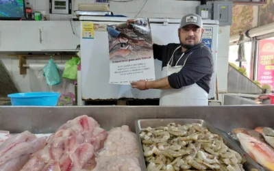 ¿Aumentará el costo de los mariscos en Los Mochis esta Cuaresma? Conoce la lista de precios oficiales