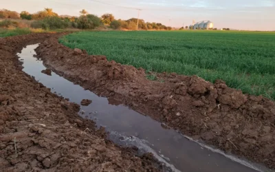 »Aprendimos de la sequía»: Gilberto Ruiz destaca orden y vigilancia en el uso de agua en el Módulo Pascola