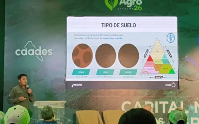 Sistema de riego por goteo ayuda a la rentabilidad de productores: Pablo Castro Sambrano