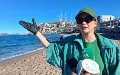 Se deben analizar otras opciones para realizar Combate Naval, propone dirigente del PVEM en Mazatlán