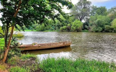 Autoridades intensifican búsqueda de adolescente de 13 años que desapareció al tirarse al río en Sinaloa de Leyva