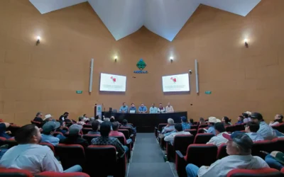 Mangueros del Norte de Sinaloa  buscan ahorrar hasta el 50% de agua con modernización de sistema de riego