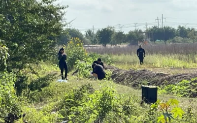 Encuentran un joven asesinado a golpes en la colonia 5 de febrero de Navolato.