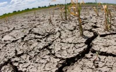 CEAPAS prevé aumento en la demanda de agua por sequía en comunidades de Sinaloa.