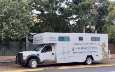 Promueve Gobierno de Mazatlán la adopción responsable con la 15ª Campaña “Huellitas del Bienestar”.