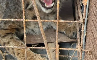 Ayuntamiento investiga denuncias de supuestas irregularidades en Casa Hogar “Nuestra Señora del Rosario” en Guasave