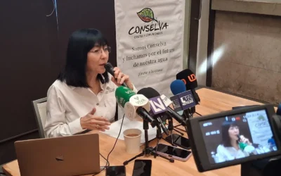 Extracción de agua en Cuenca del Río Baluarte, es un problema crítico: CONSELVA