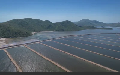 Publican acuerdo para permisos de siembra y notificación de cosecha en unidades acuícolas de Sinaloa.