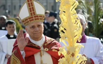 Llamado del Papa León XIV contra la violencia y la guerra en Domingo de Ramos.
