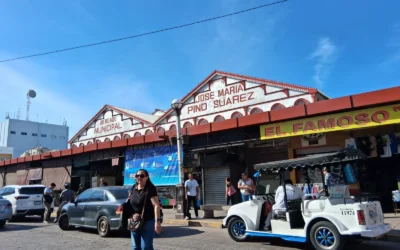 Afirma el INAH que columna no pone en riesgo estructura del Mercado “Pino Suárez”, en Mazatlán