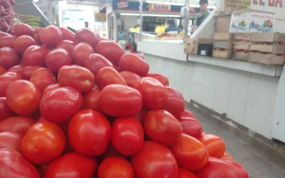 Nuevo incremento en precios de productos de la Canasta Básica, el kilo de tomates se vende hasta en 60 pesos