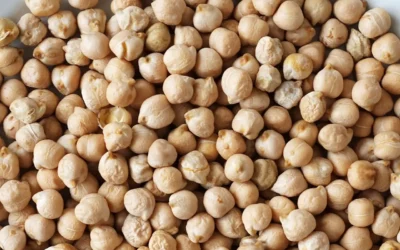 “Le estamos buscando”: Confirma Rocha Moya gestiones permanentes para el sector garbancero