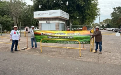 Productores dan ultimátum por apoyo pendiente de 750 pesos por tonelada