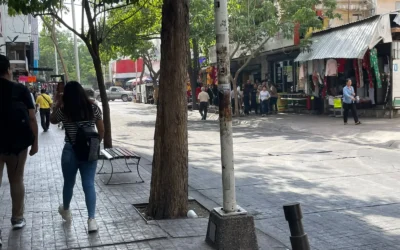 Movimiento económico de Culiacán presenta avances en marzo: CANACO SERVYTUR Culiacán