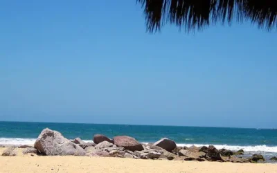 Playas de Sinaloa se mantienen seguras previo a Semana Santa: Coepris