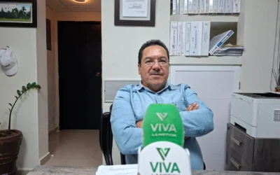 Sin servicio en ventanillas por días santos: Pagos Ahome mantendrá plataforma en línea