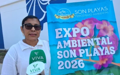 Expansión inmobiliaria en Mazatlán provoca destrucción de la Selva: Proyecto Son Playas