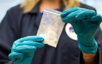 El gobierno de Estados Unidos acusó a China de facilitar el tráfico de fentanilo: “Sabemos de dónde vienen los precursores”