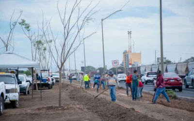 Avanza proyecto de infraestructura verde en el Eje Federalismo con instalación de sistema de riego por goteo.