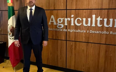 Reabre SADER ventanilla para pago a productores de maíz en Sinaloa, anuncia Ismael Bello Esquive.l