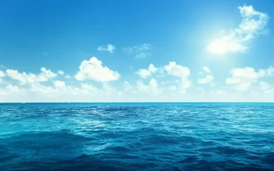 Veda de camarón en Altata se mantiene sin registros de pesca furtiva: Dirigente de los pescadores