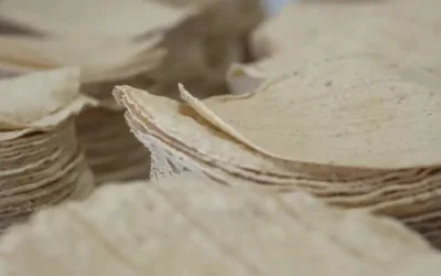 El precio del kilo de tortilla podría sostenerse hasta junio de continuar sin apoyos: Rafael Uriarte Quiroz