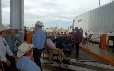 Incertidumbre por precio del maíz genera presión de productores en Culiacán