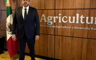 Reabre SADER ventanilla para pago a productores de maíz en Sinaloa, anuncia Ismael Bello Esquivel
